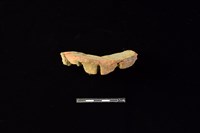 陶片藏品圖，第1張